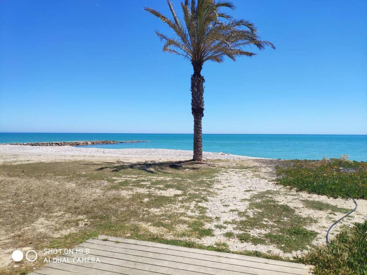 Apartamento En El Grau De Moncofa Entre 2 Y 3 Linea De Playa Exteriör bild