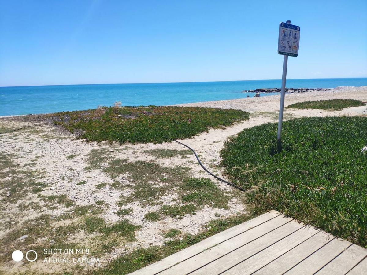 Apartamento En El Grau De Moncofa Entre 2 Y 3 Linea De Playa Exteriör bild